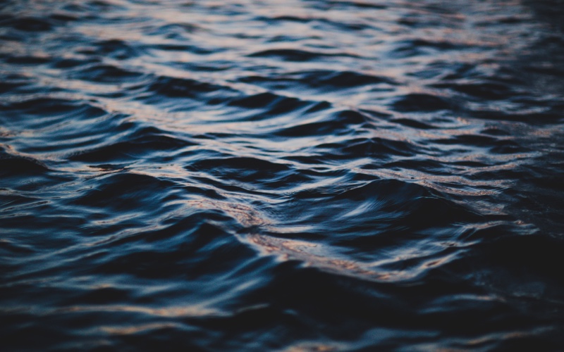 Water at Lake Anne.