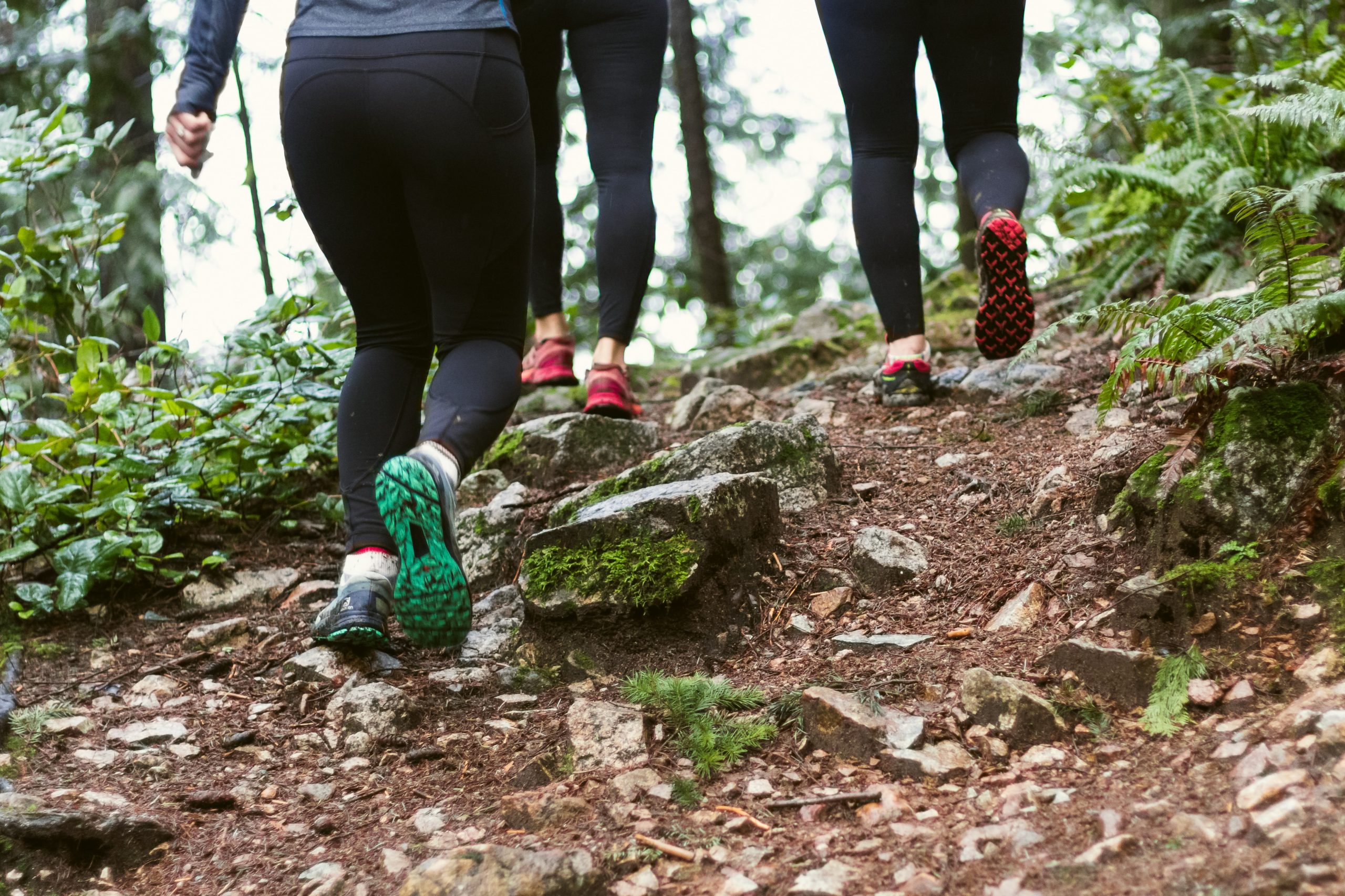 People trekking on a hill.